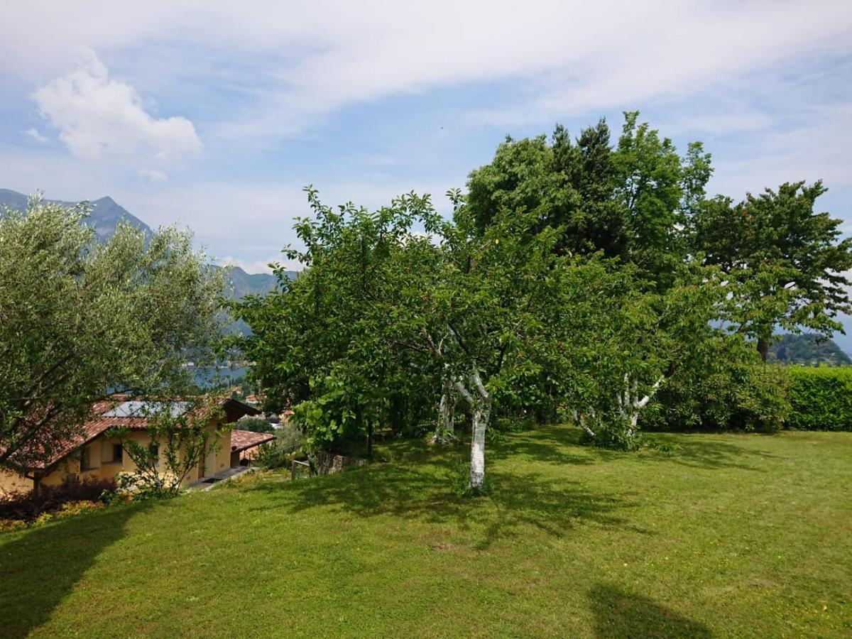 Villa Primula Bellagio Esterno foto