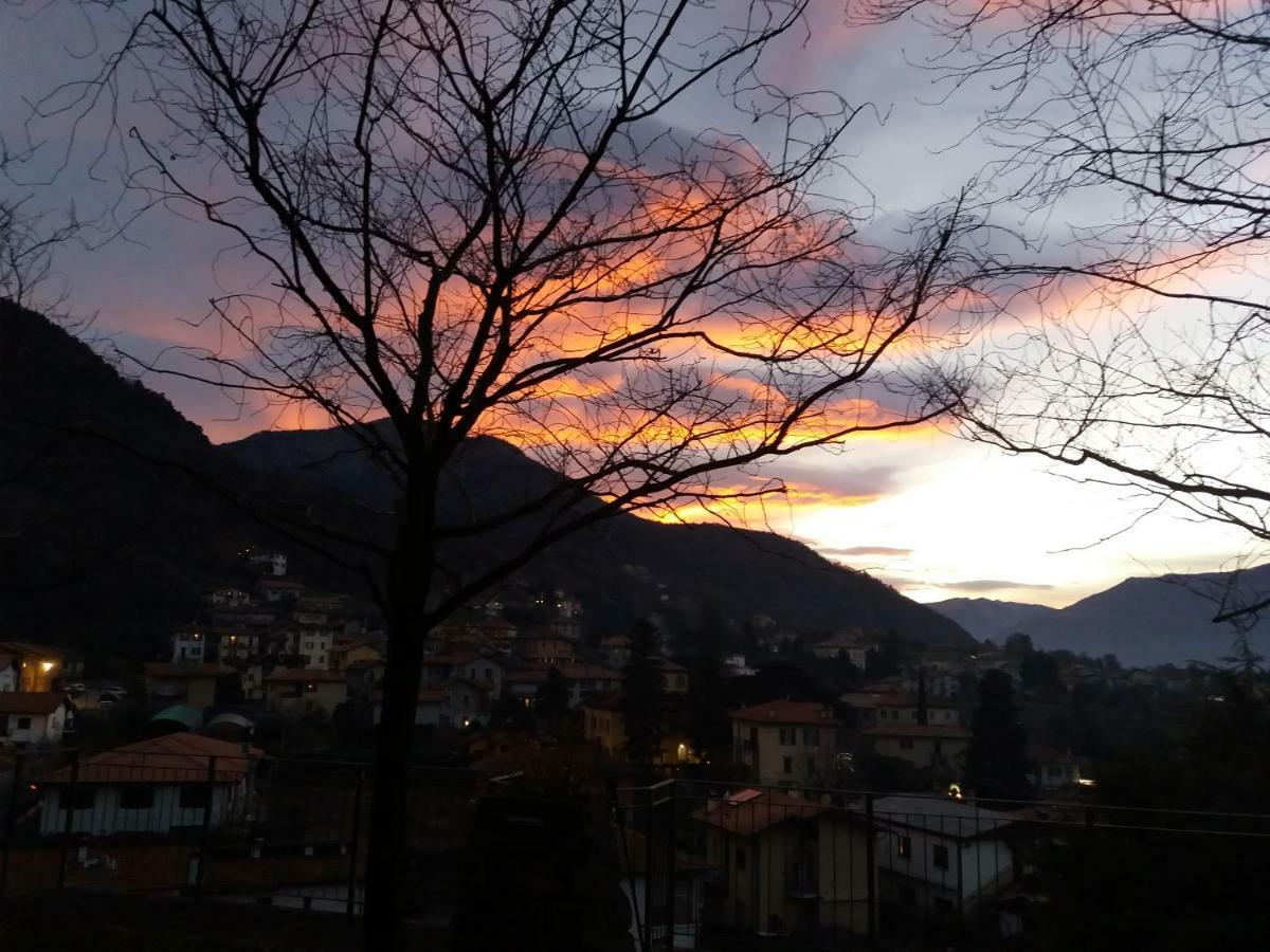 Villa Primula Bellagio Esterno foto