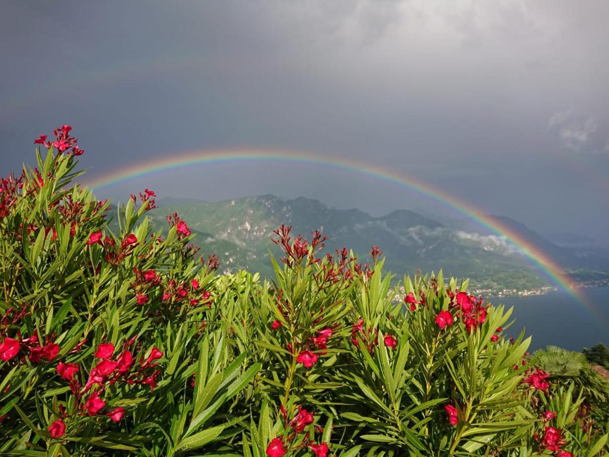 Villa Primula Bellagio Esterno foto